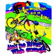 Usado, Camiseta MOUNTAIN BIKE RACING 'AIN'T NO MOUNTAIN HIGH, AIN'T NO VALLEY LOW' TB092 comprar usado  Enviando para Brazil