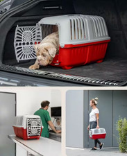 transportbox katze gebraucht kaufen transportbox katze gebraucht kaufen Münster