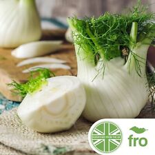 Premium fennel 400 for sale  MANCHESTER