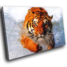 A045 orange tiger for sale  STRABANE