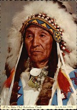 Native american cree for sale  Harvard