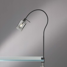 Klemmleuchte klemmlampe schwan gebraucht kaufen  Frankenberg