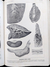 Libro antico dizionario usato  Milano