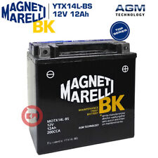 Batteria marelli ytx14l usato  San Marco Evangelista