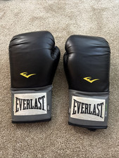 Everlast everfresh pair for sale  Morrisville