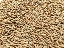 5lb bag cereal for sale  Coopersville