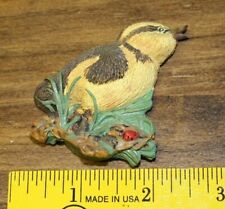 Little bird chick for sale  Oshkosh