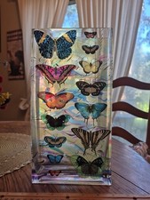 Fringe studio 11.5 for sale  San Antonio
