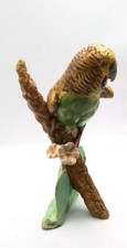 green budgie for sale green budgie for sale NORMANTON