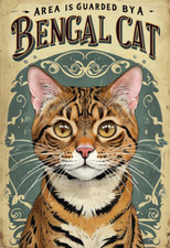 Area guarded bengal for sale  DUNSTABLE