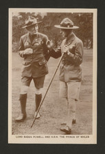1929 scout jamboree for sale  FORDINGBRIDGE