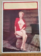 Vintage 1960s girlie for sale  Warrensburg