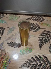 Joli briquet poilu d'occasion  Saint-Saëns