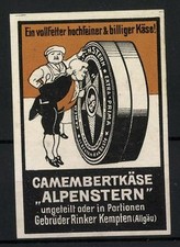Reklamemarke Alpenstern Camembertkäse, ein vollfetter hochfeiner & billiger Käs  comprar usado  Enviando para Brazil