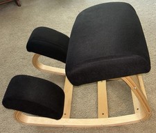 Luxton ergonomic posture for sale  Knoxville