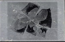 hans arp gebraucht kaufen  Berlin
