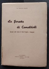 Madiai sabatino foresta usato  Arezzo