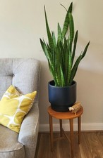 Vintage poul hundevad for sale  WELWYN