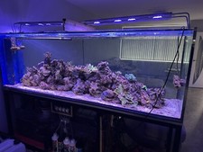 Marine fish tank for sale  BIRMINGHAM