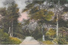 wellington shropshire for sale wellington shropshire for sale UK