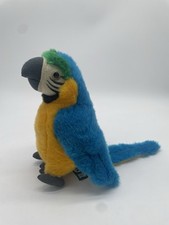 Living nature parrot for sale  Waterbury