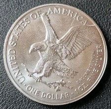 Usa silber eagle gebraucht kaufen  Kamen