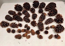 Lot various size for sale  Nescopeck