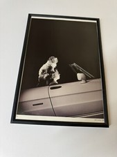 Framed original alfa for sale  WIGAN
