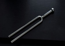 Diapason 440 note usato  Italia
