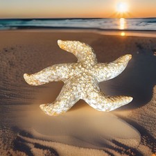 Ceramic starfish sealife for sale  Yuba City