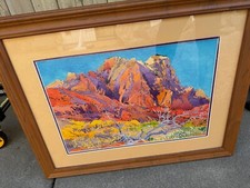 Gorgeous buffalo kaplinski for sale  Portland