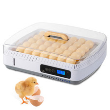 Eggs incubator automatic for sale  Flanders