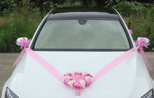 Kit décoration voiture d'occasion  Tremblay-en-France