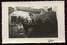Photo ancienne moisson d'occasion  Dijon