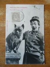 Cpa pitou chien d'occasion Cpa pitou chien d'occasion  Saint-Éloy-les-Mines