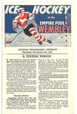 brighton tigers for sale  BEVERLEY
