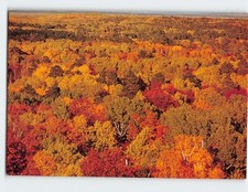 Postcard fall view for sale  Almond