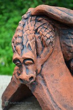 Baby dragon roof for sale  HORSHAM