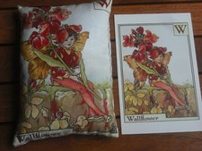 Flower fairy alphabet for sale  FORDINGBRIDGE