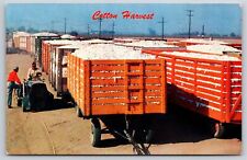 Farm cotton harvest for sale  Newton