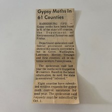 Falene zingare contee usato Falene zingare contee usato  Spedire a Italy