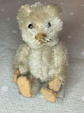 Miniature teddy bear for sale  DONCASTER