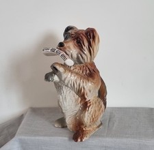 Terrier dog newspaper for sale  SEVENOAKS