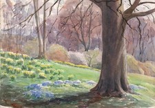 Forest spring landscape for sale  SALISBURY