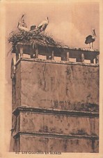 Nid cigognes alsace d'occasion  Vasles