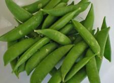 Pea delikett sugar for sale  SALISBURY