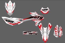 Kit grafiche adesivi usato  Viale