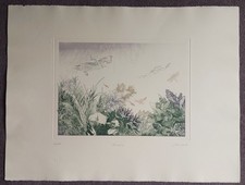 Anna pugh signed for sale  CIRENCESTER