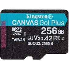 Kingston 256gb canvas for sale  Quarryville