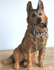 Large alsatian german for sale  PRESTON
